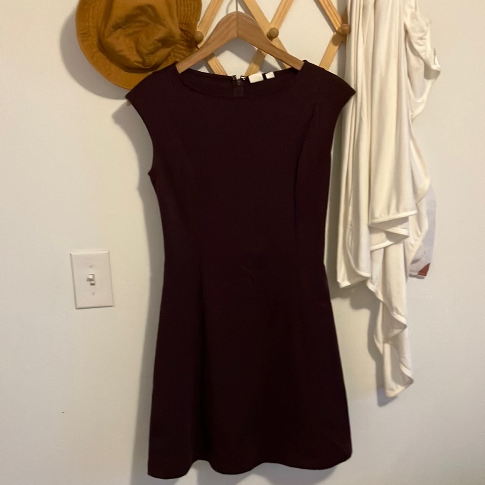 Gap Maroon A-Line Dress with Princess Seams